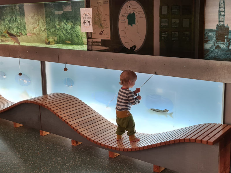 Kind Aquarium